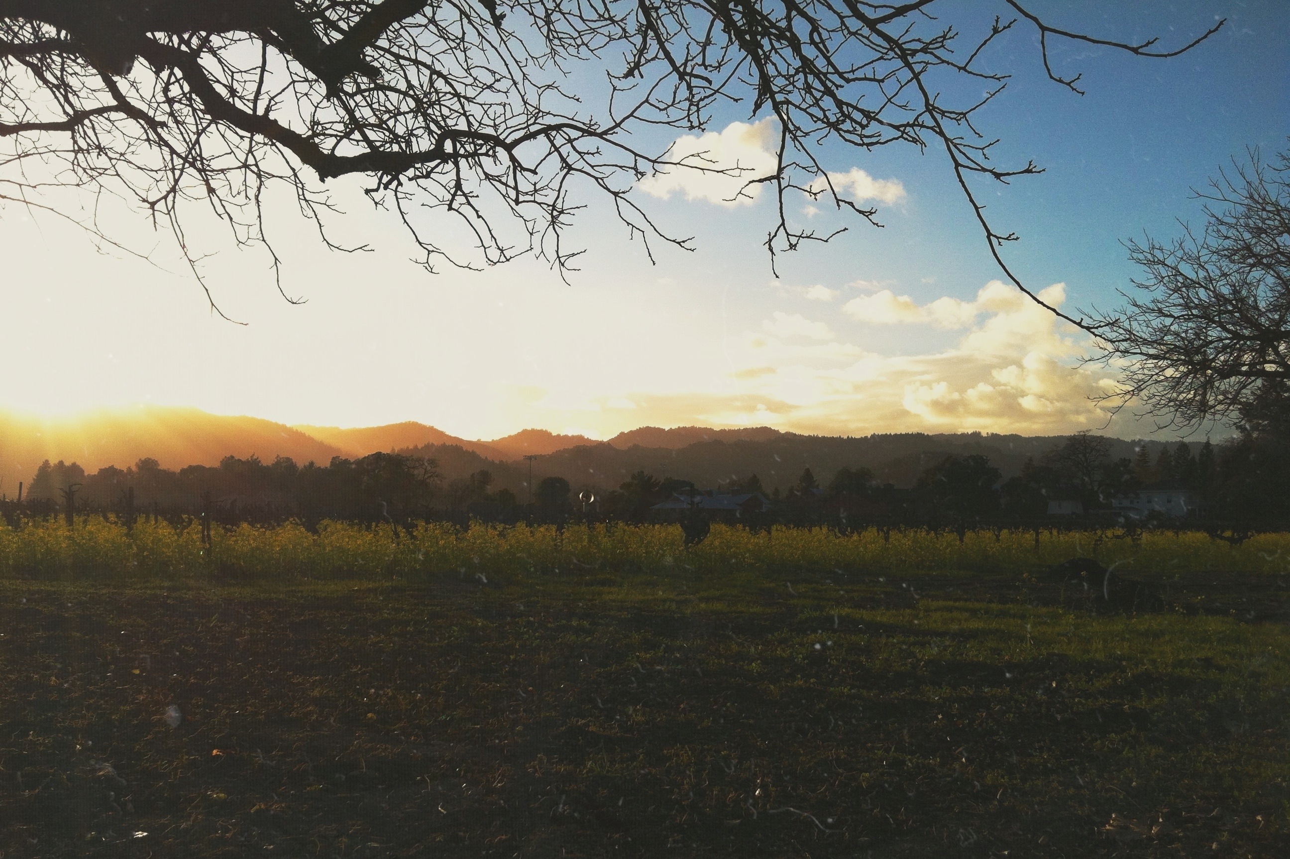 20130219-112818.jpg