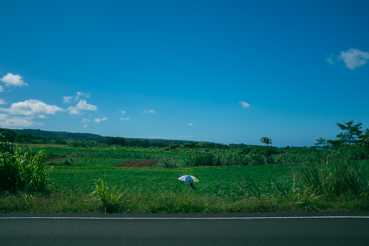 BigIsland-2