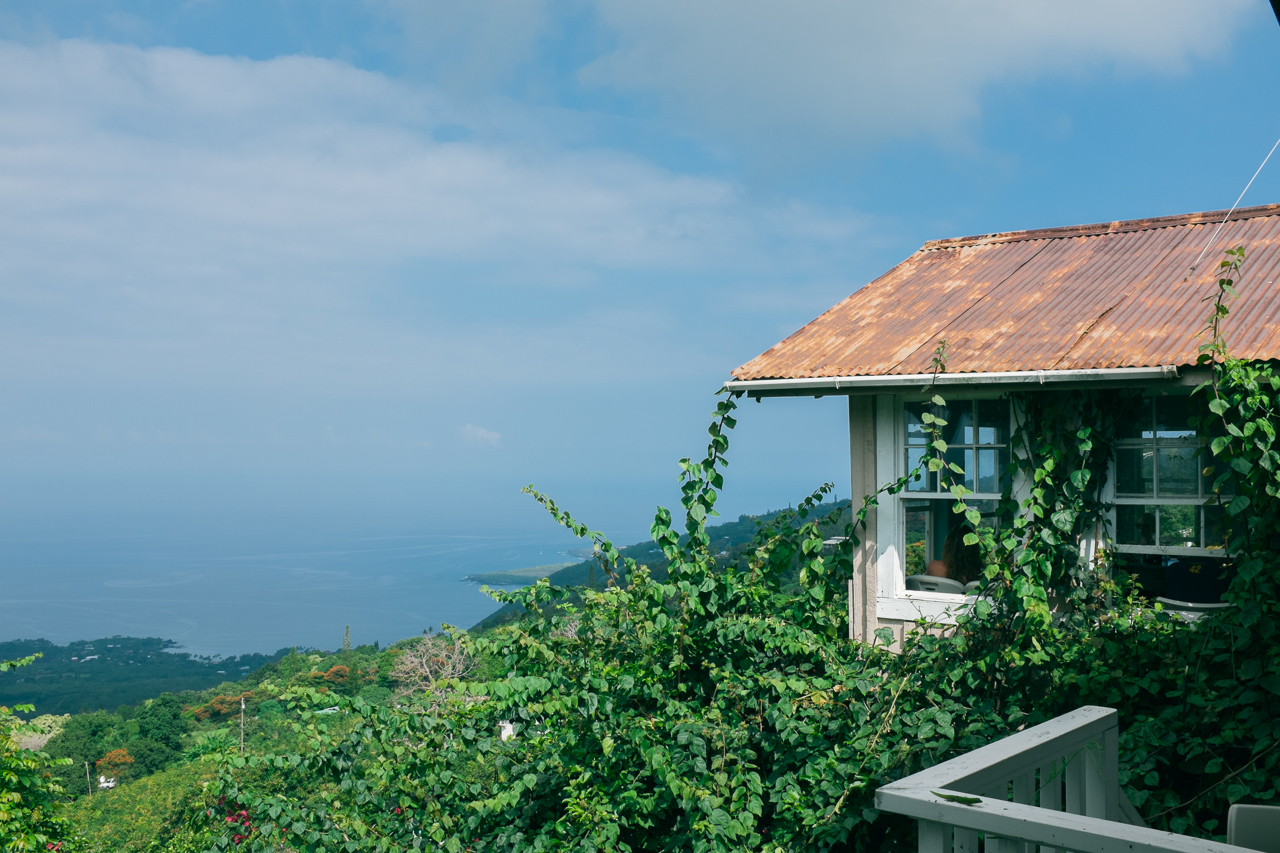 BigIsland-4